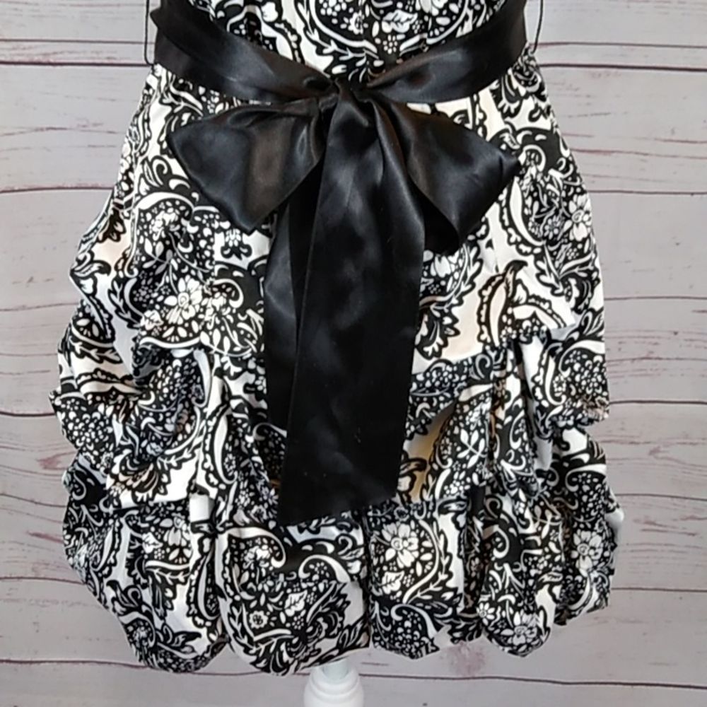 Ruby Rox Dress - image 4